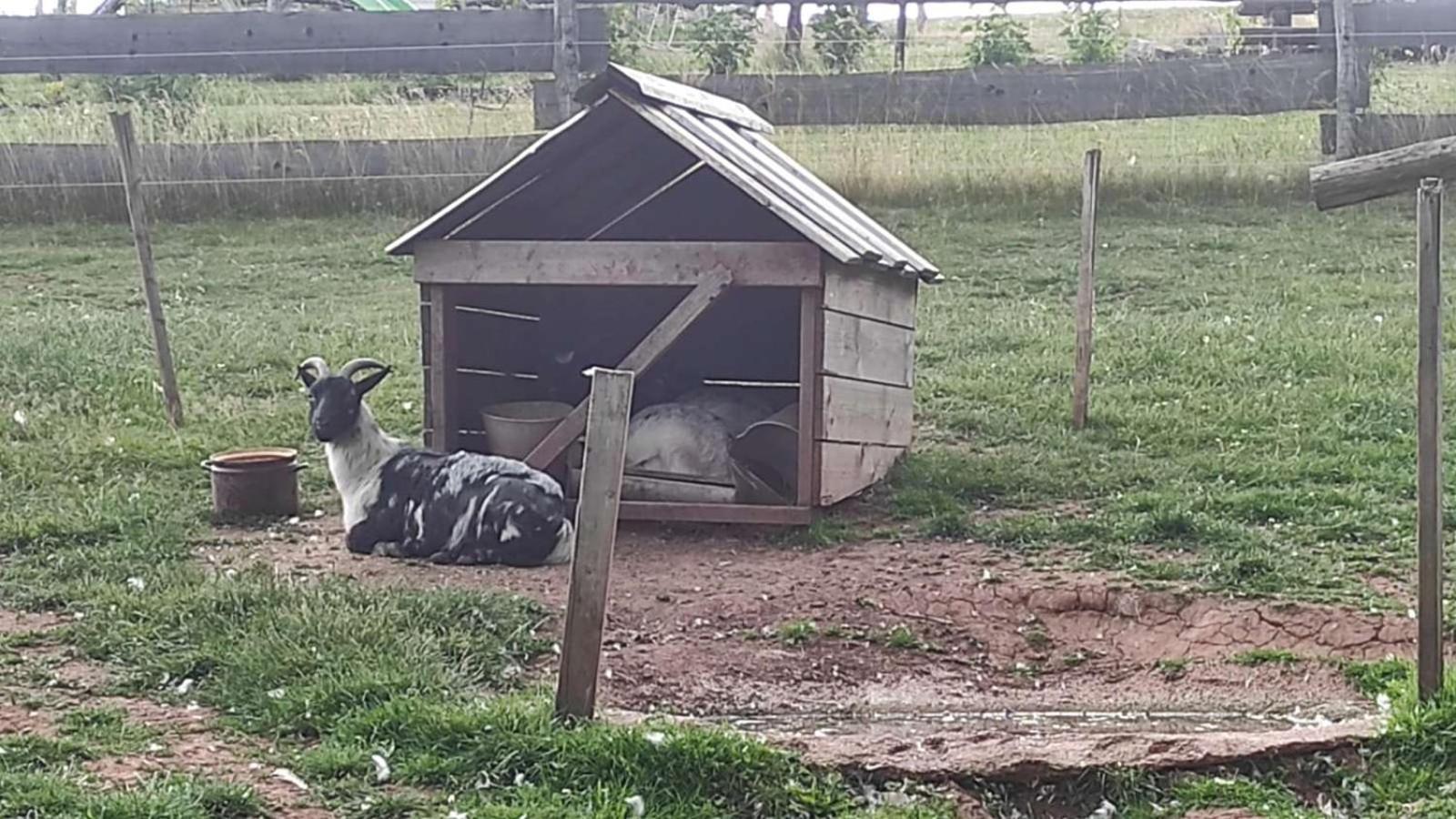 Apartman Na Statku Červený Kostelec 外观 照片