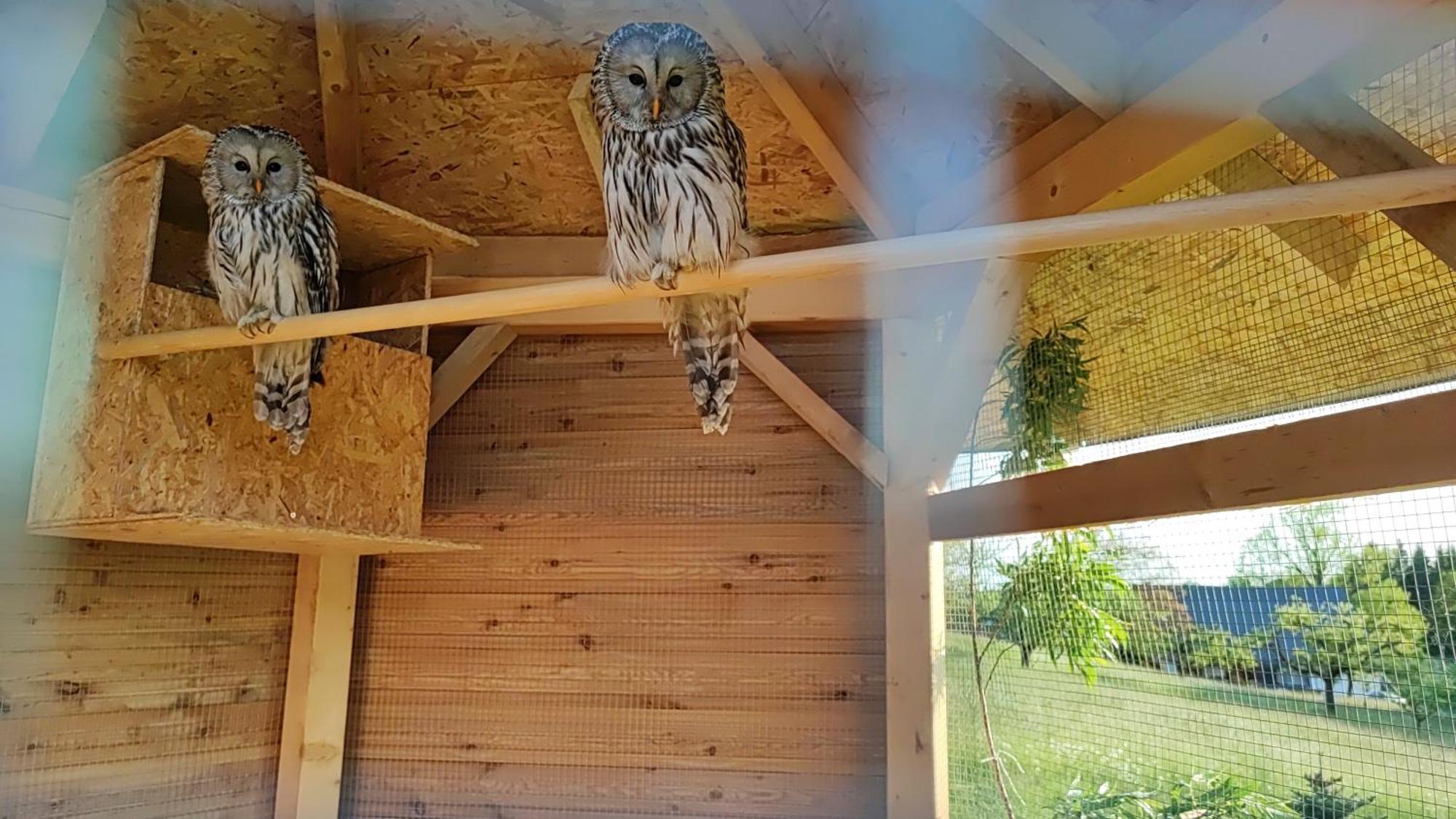 Apartman Na Statku Červený Kostelec 外观 照片